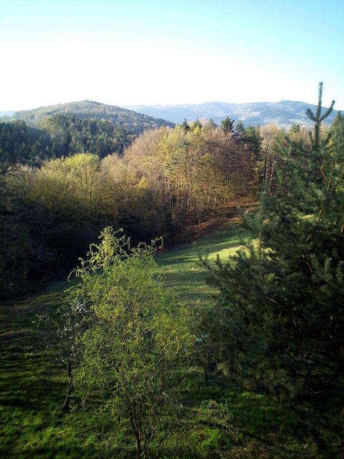 Farm stay Millerowka Kamionka Mala (Limanowa)