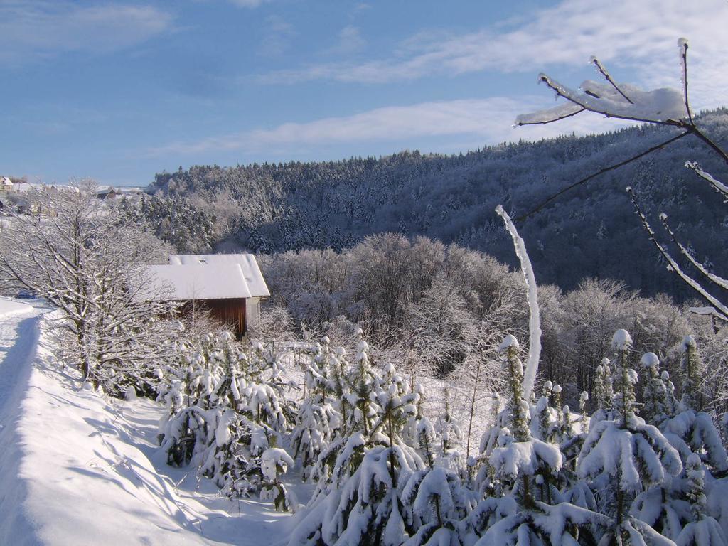 Millerowka Farm stay *