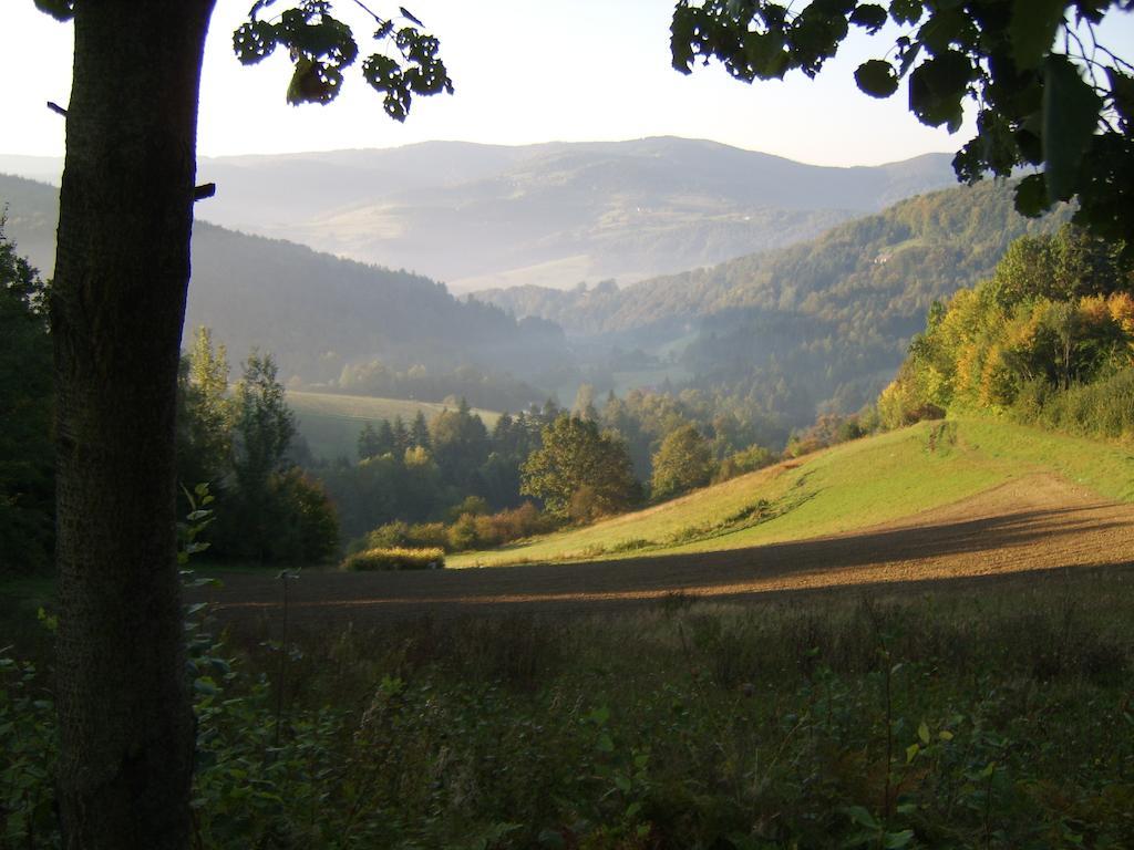 Farm stay Millerowka