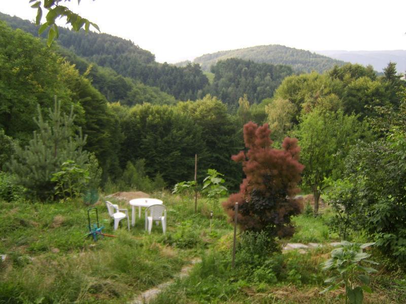 Farm stay Millerowka